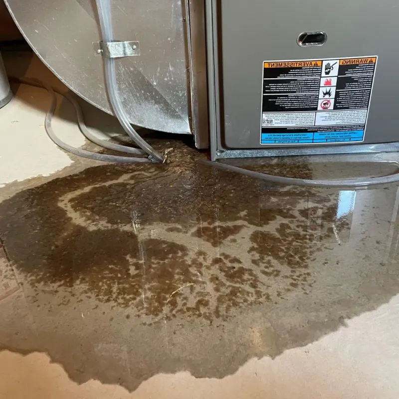 Pipe Burst and Leak Restoration in Grant, NE