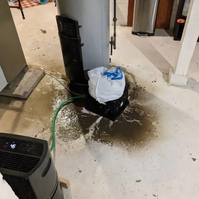 Sewage Backup Cleanup Service in Grant, NE